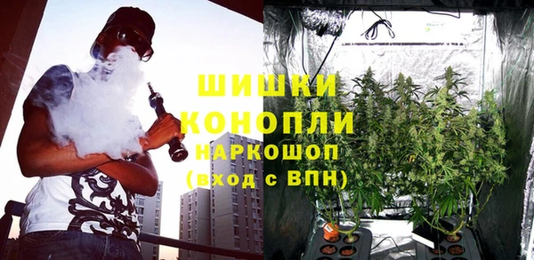 герыч Ельня