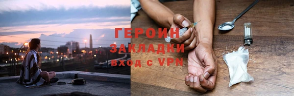 прущие грибы Елизово
