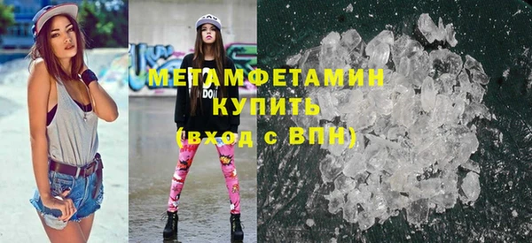 прущие грибы Елизово