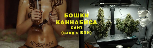 прущие грибы Елизово