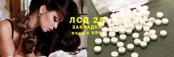 герыч Ельня