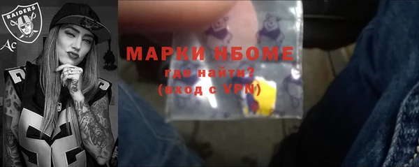 прущие грибы Елизово