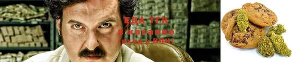 прущие грибы Елизово