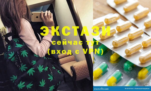 прущие грибы Елизово
