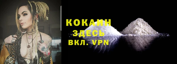 прущие грибы Елизово