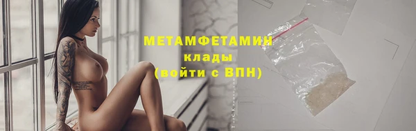 прущие грибы Елизово