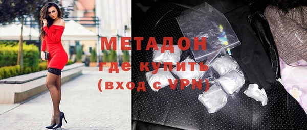 прущие грибы Елизово
