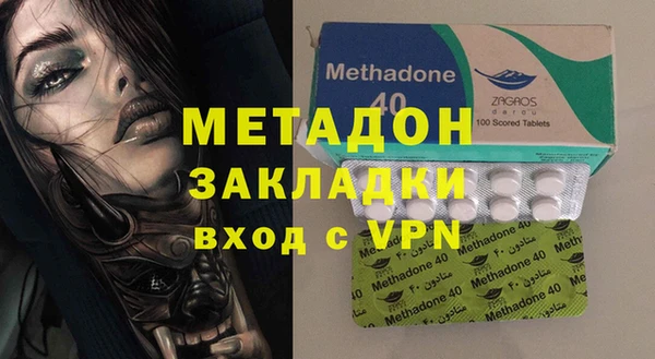 прущие грибы Елизово