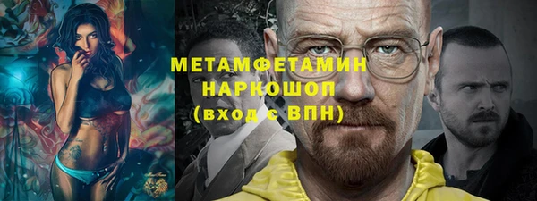 прущие грибы Елизово