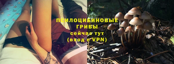 прущие грибы Елизово