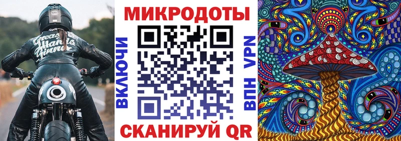 Купить  Нахабино  Псилоцибиновые грибы мицелий 